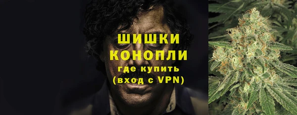 гашик Балахна