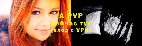 гашик Балахна
