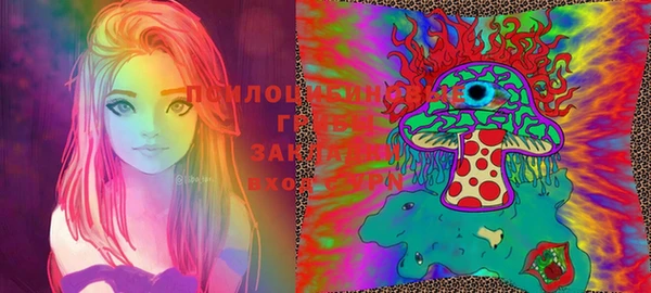 гашик Балахна