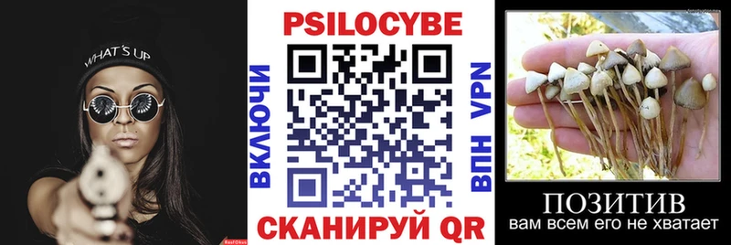 Псилоцибиновые грибы Magic Shrooms  Лыткарино 