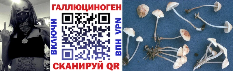 Галлюциногенные грибы мухоморы Лыткарино